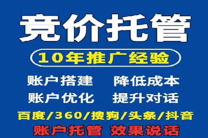 百度推广平台案例剖析：揭秘广告投放策略